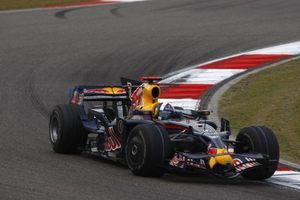 David in the Red Bull RB4 at the Chinese GP 2008